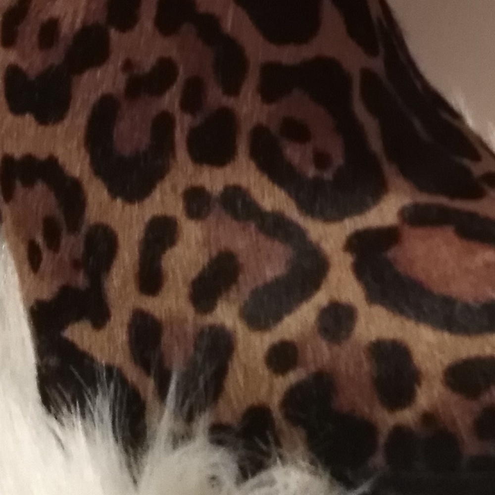 ✨Calvin Klein Leather Leopard Boots / Booties 5.5 - Picture 2 of 7